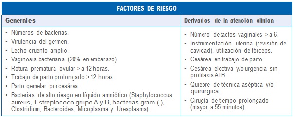 3. Endometritis Puerperal – Síntesis De Conocimientos