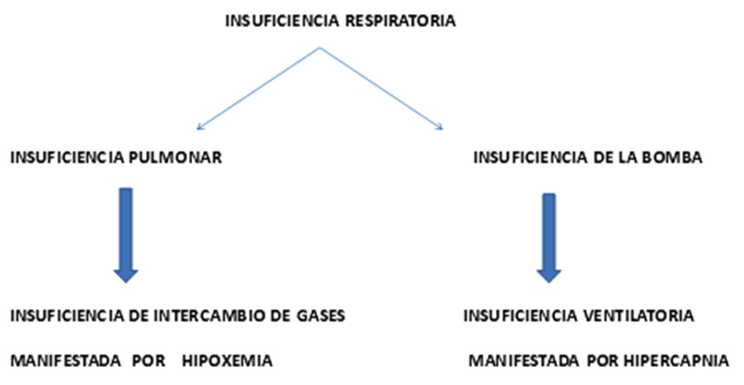 IR1