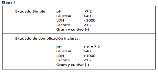 B. Empiema Pleural – Síntesis De Conocimientos