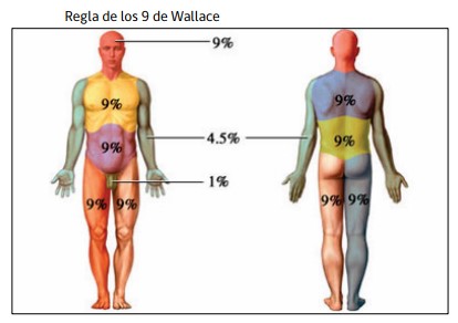 Escenario I. A. Mujer con exceso de piel infraumbilical y pequeña