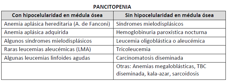 anemia aplásica médula ósea